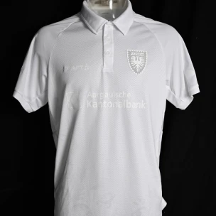 Sondertrikot 25/26 Maienzug